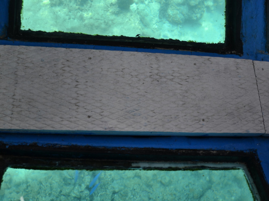 Lakshadweep Surf Club-Kavaratti Island必去景点