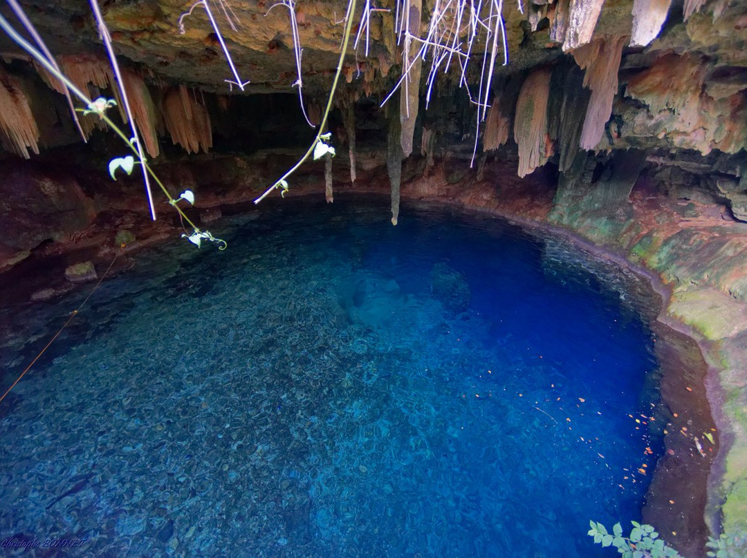 Cenote Kankirixche-Mucuyche必去景点