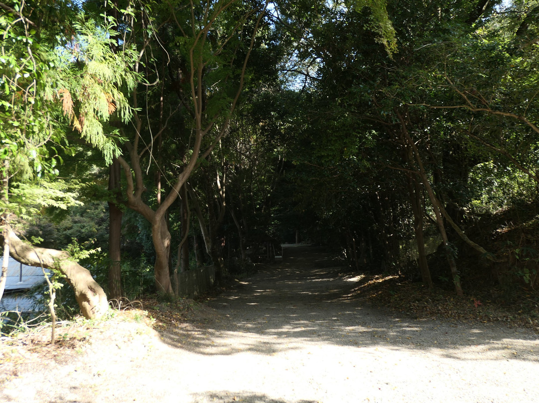 Anashinimasuhyozu Shrine-樱井市必去景点