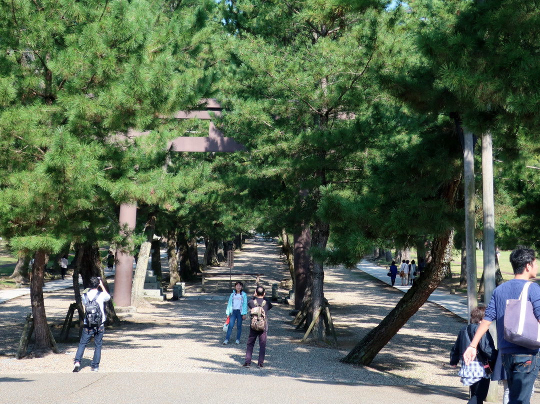 Pine Entrance Path-出云市必去景点