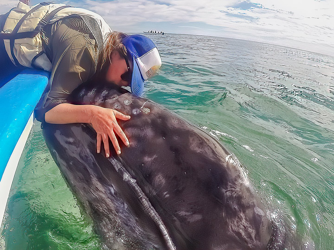 Ecoturismo Kuyima-San Ignacio必去景点