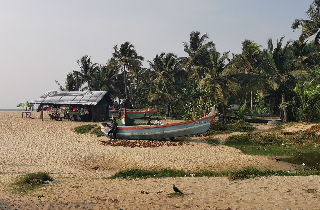 Mararikulam Beach-Mararikulam必去景点