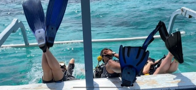 Dolphin Dive School-Senggigi必去景点