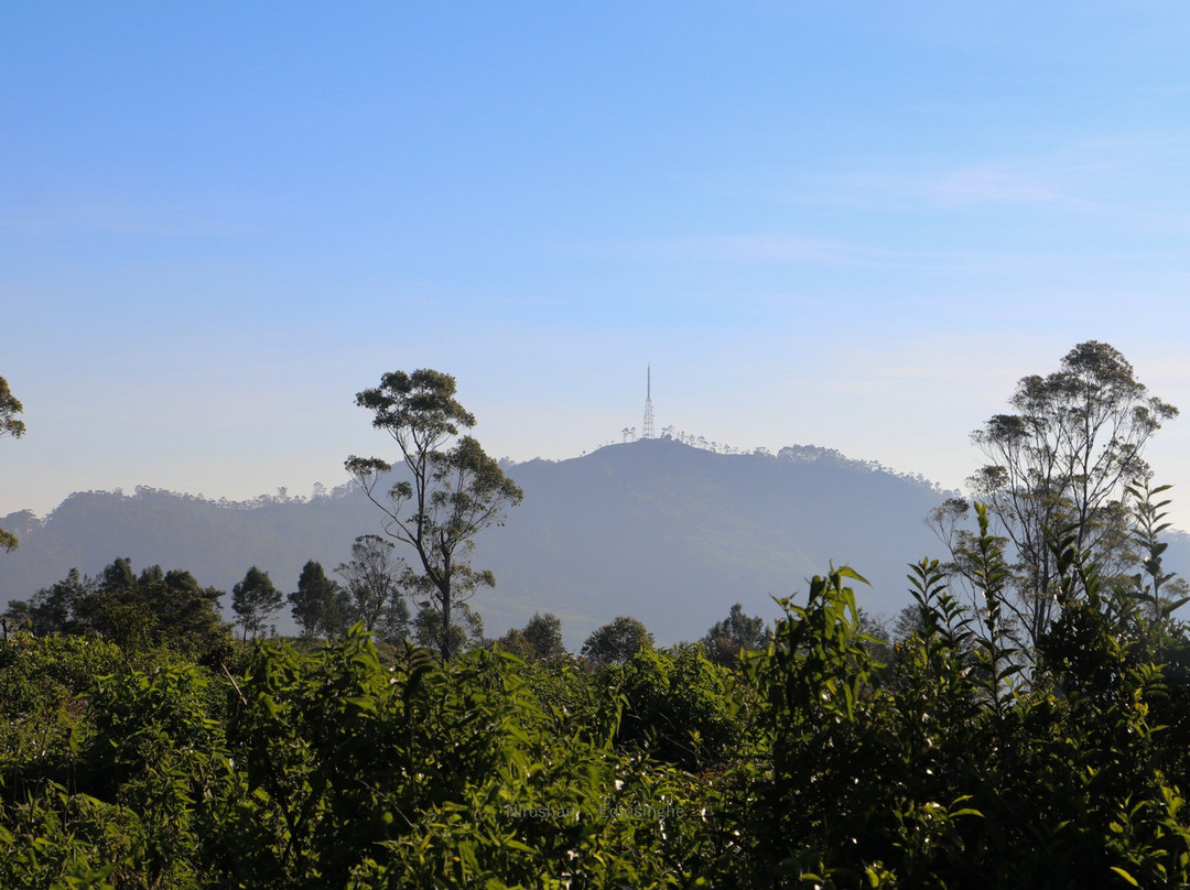 Prabhawa Mountain Day View Point Haputale-哈普特莱必去景点