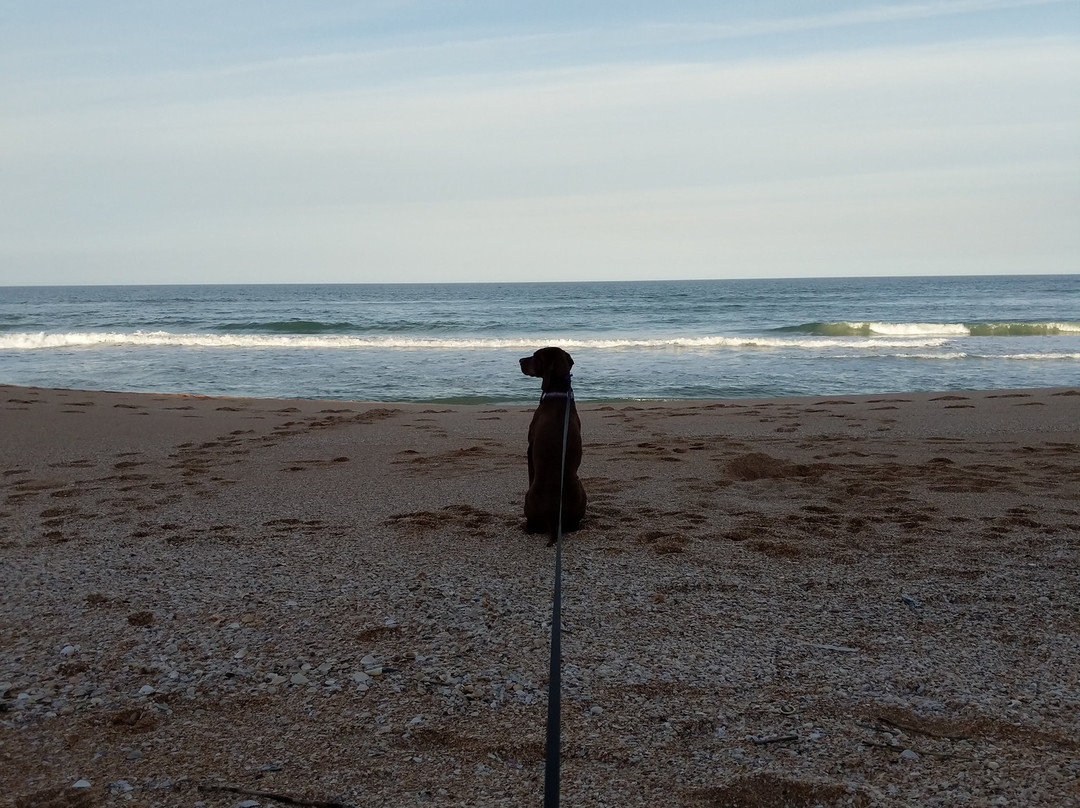 Si Como No Inn主图