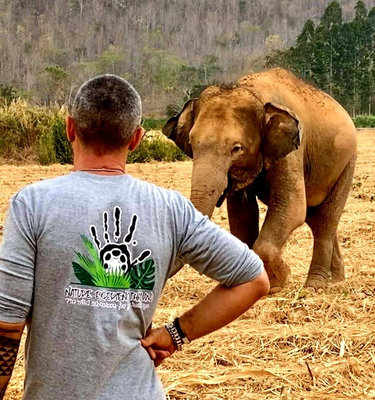 Sawadi Saiyok Jungle Adventure-柿约必去景点