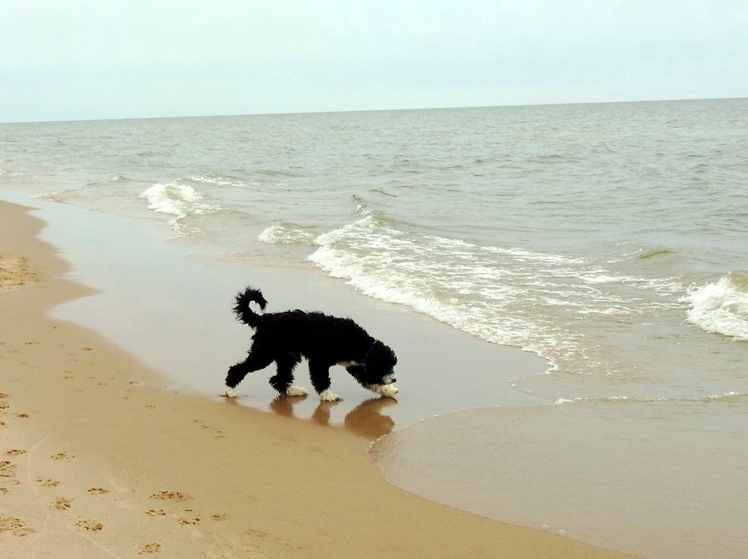 Kirk Park-West Olive必去景点