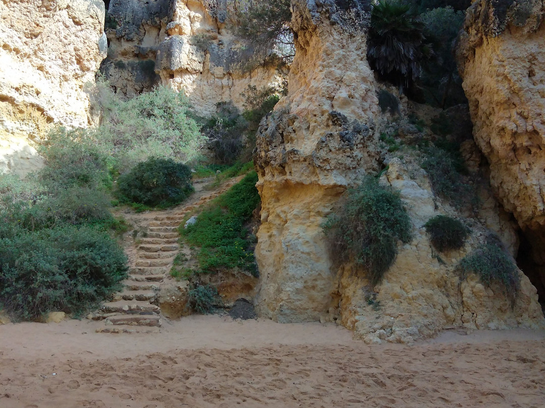 Praia da Coelha景点图片