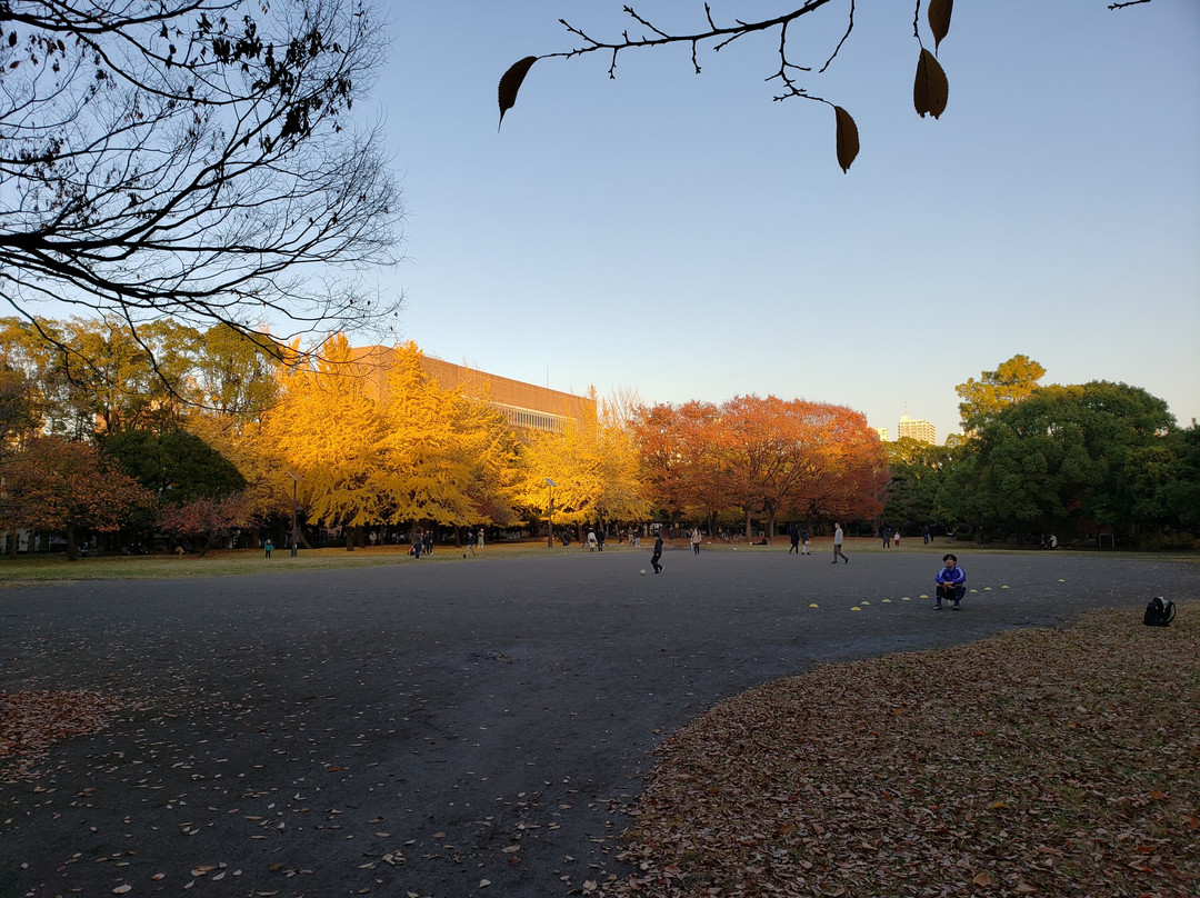 Kiyosumi Park-江东区必去景点
