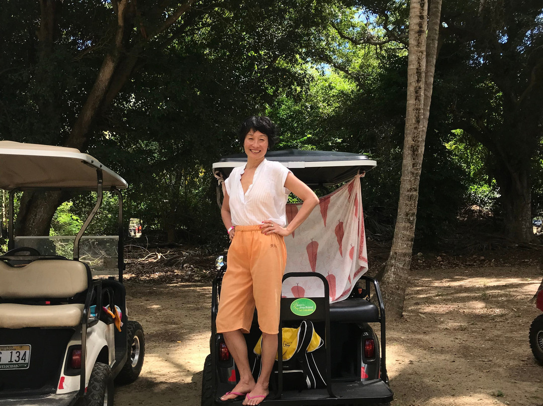 Jerry's Jeep Rental-库莱布拉岛必去景点