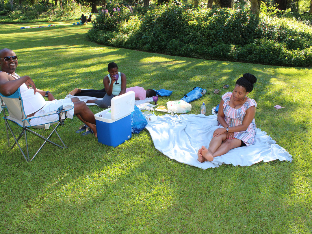 KwaZulu-Natal National Botanical Garden-彼得马里茨堡必去景点