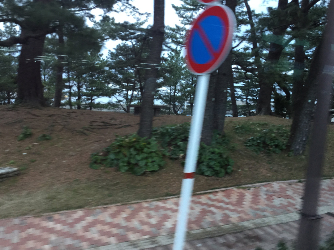 Port Miyanoura景点图片
