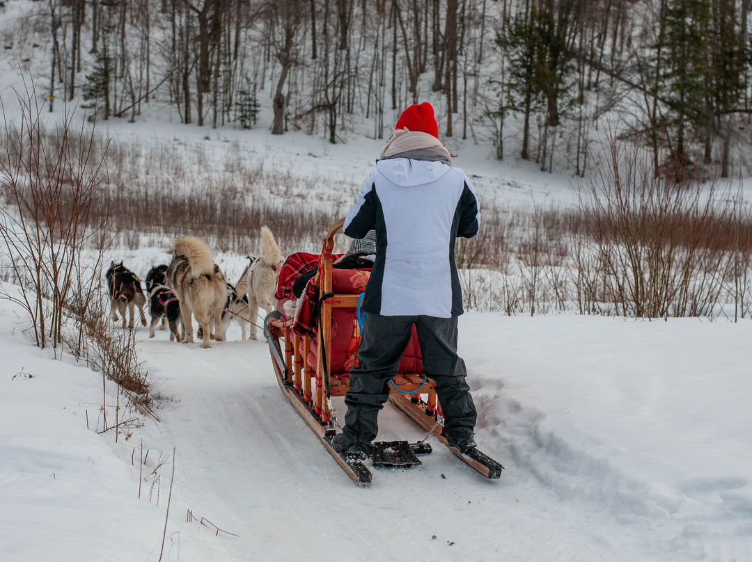 Alaskan Adventure Dog Sledding-Arundel必去景点