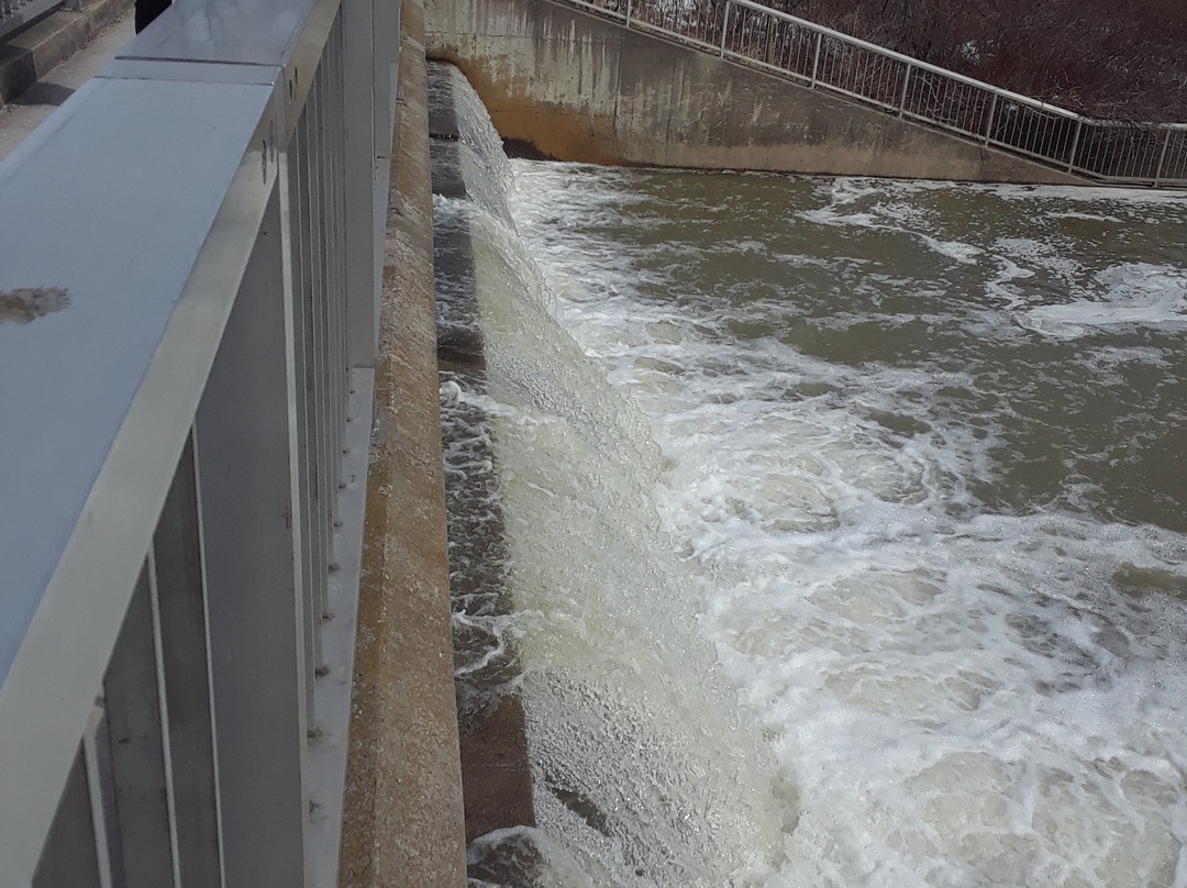 Toogood Pond Park-于人村必去景点