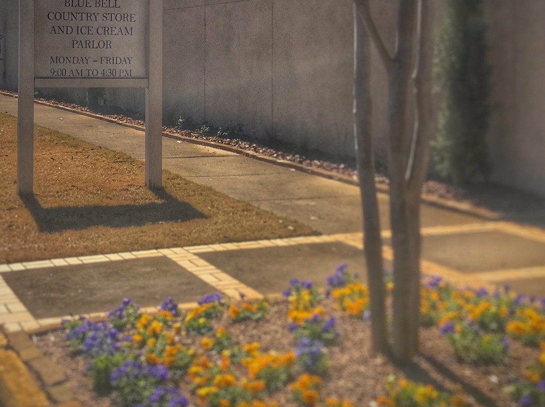 Blue Bell Creamery-Sylacauga必去景点
