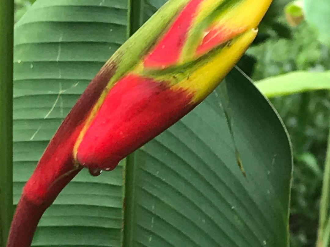 Peat Taylor Tours-奥乔里奥斯必去景点