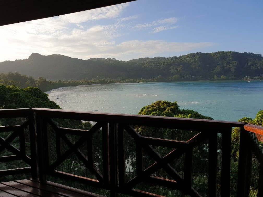 Le Jardin Des Palmes主图