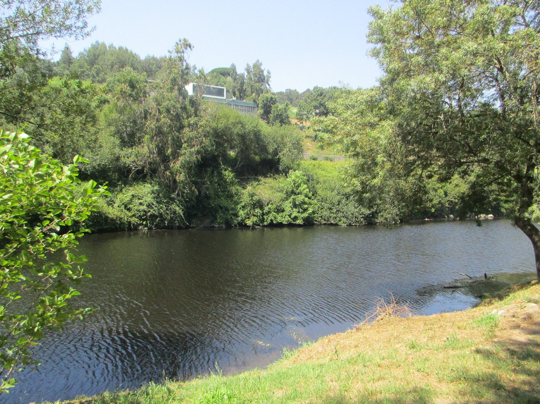 Parque Urbano Sara Moreira景点图片