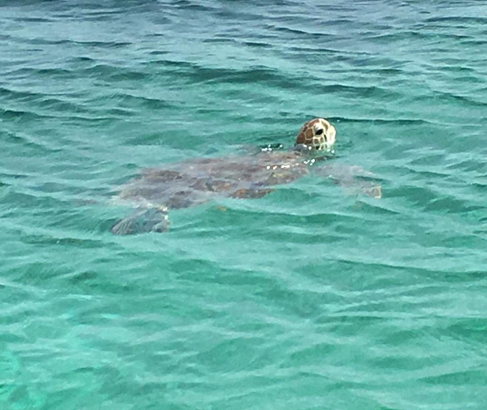 The Epic Collective-蒙特戈贝必去景点