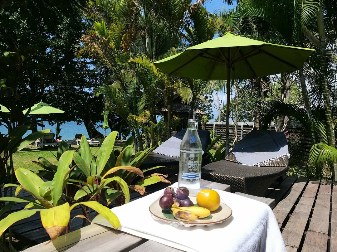 嘉雅普利温泉度假酒店主图