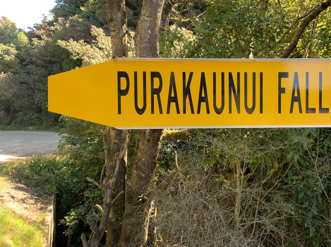 Purakaunui Falls Walk景点图片