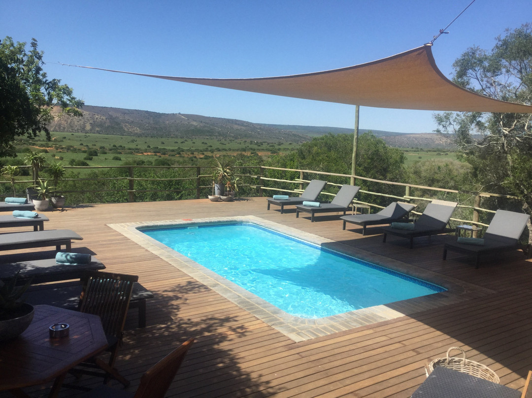 The Safari Lodge- Amakhala Game Reserve主图