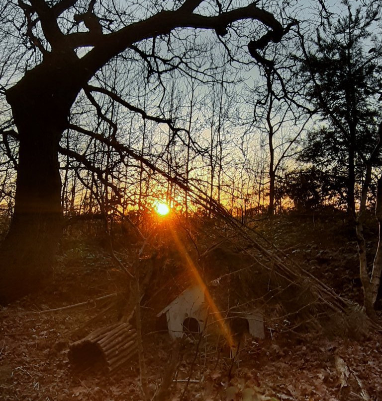 Hill Holt Wood景点图片