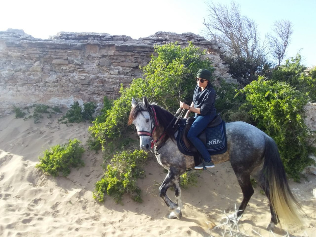 Ranch Aftass-索维拉必去景点