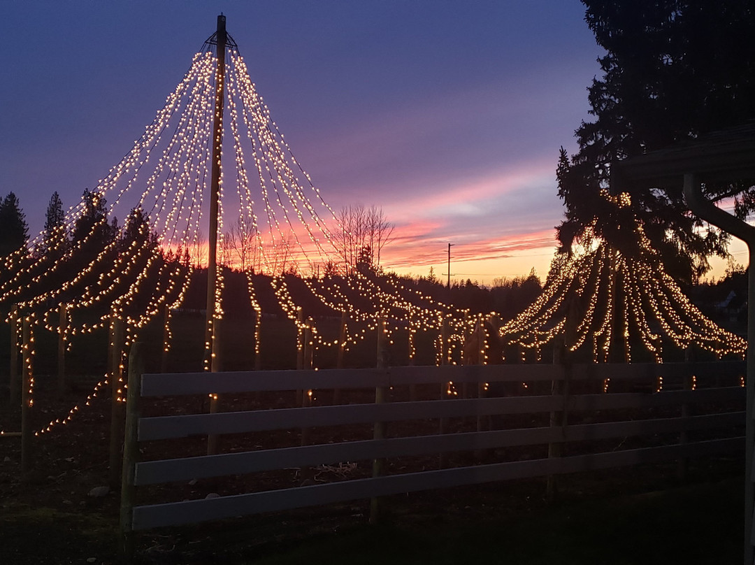 Farm Shed Wines-Buckley必去景点