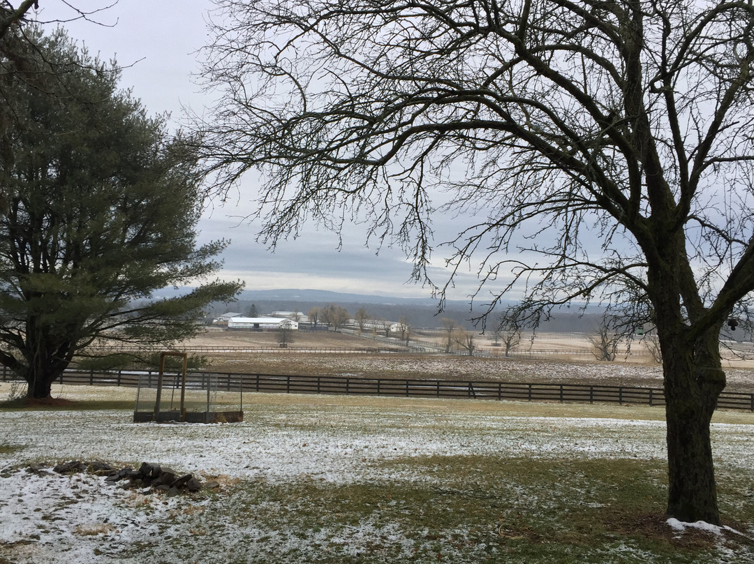 Serene Vista Spa Bed & Breakfast主图