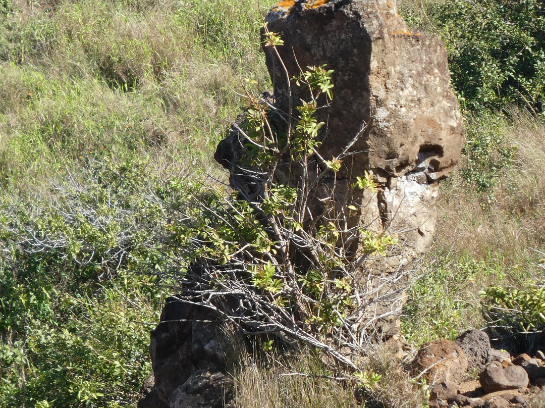 众神花园-拉奈市必去景点