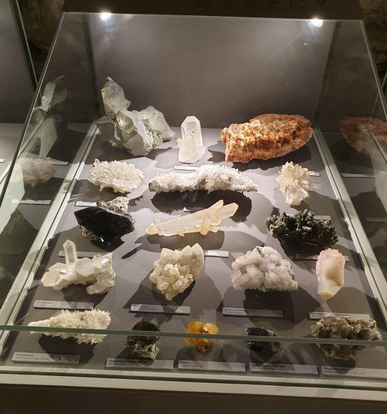 Naturkundemuseum-爱尔福特必去景点