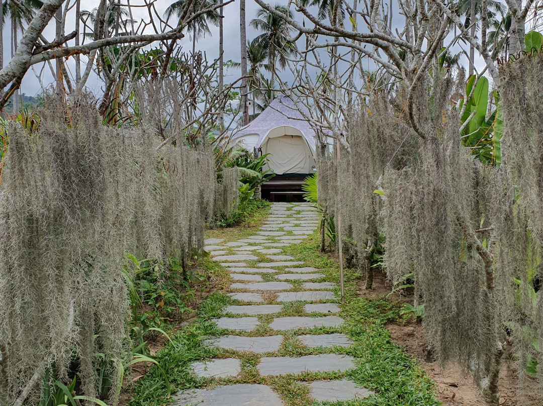 Nacpan Beach Glamping主图