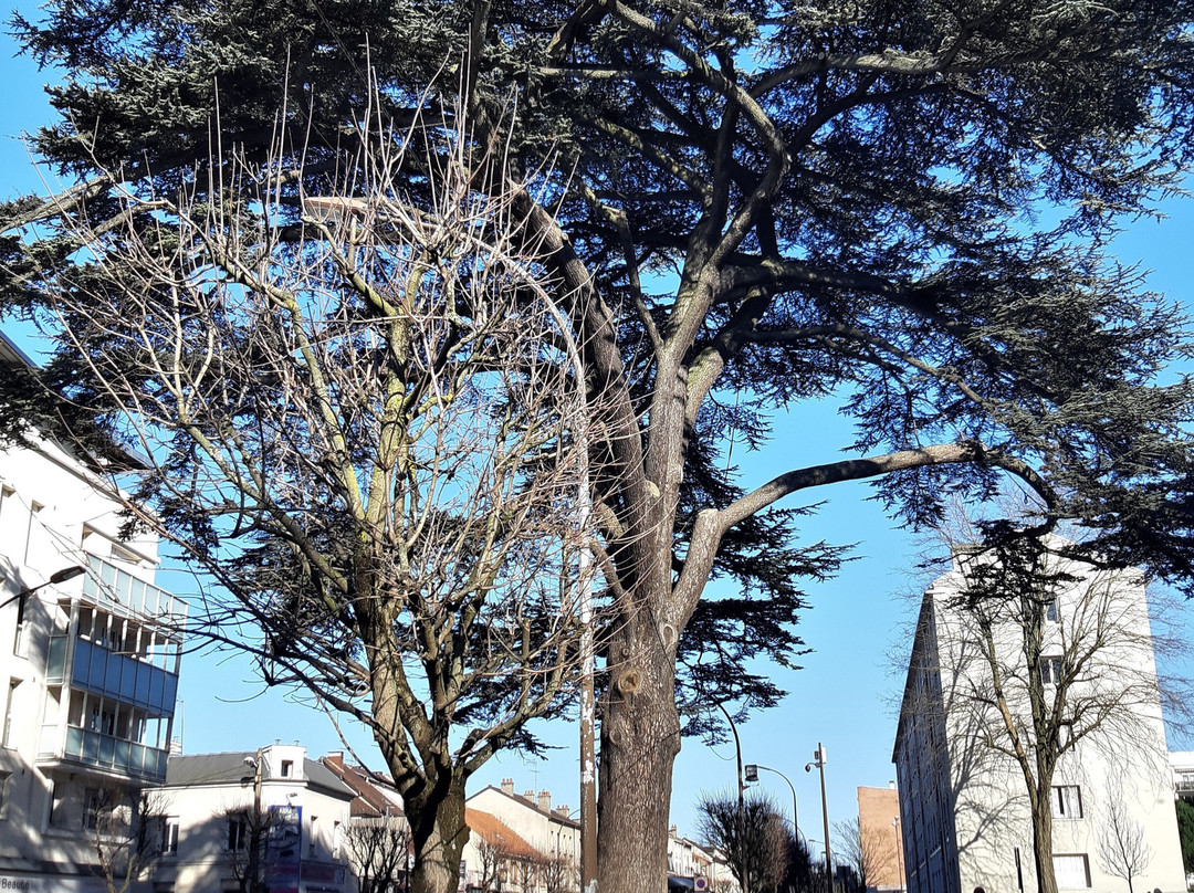 Le Cèdre du Liban-Livry-Gargan必去景点