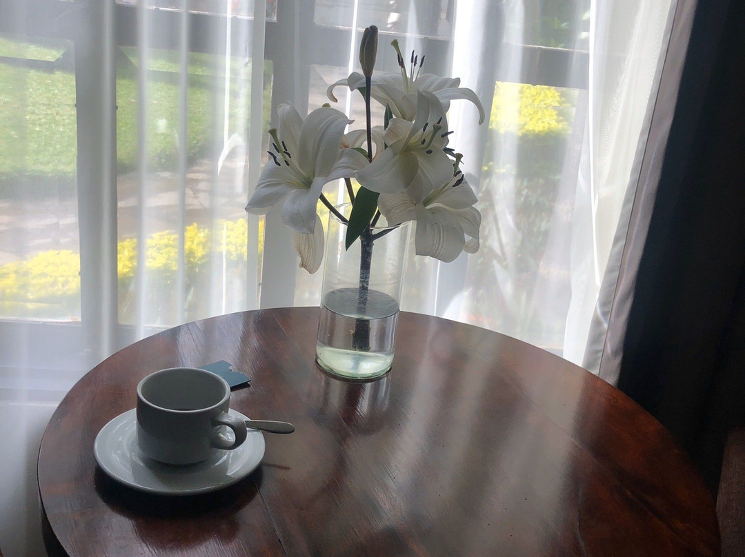 Hotel Villa Tequila主图