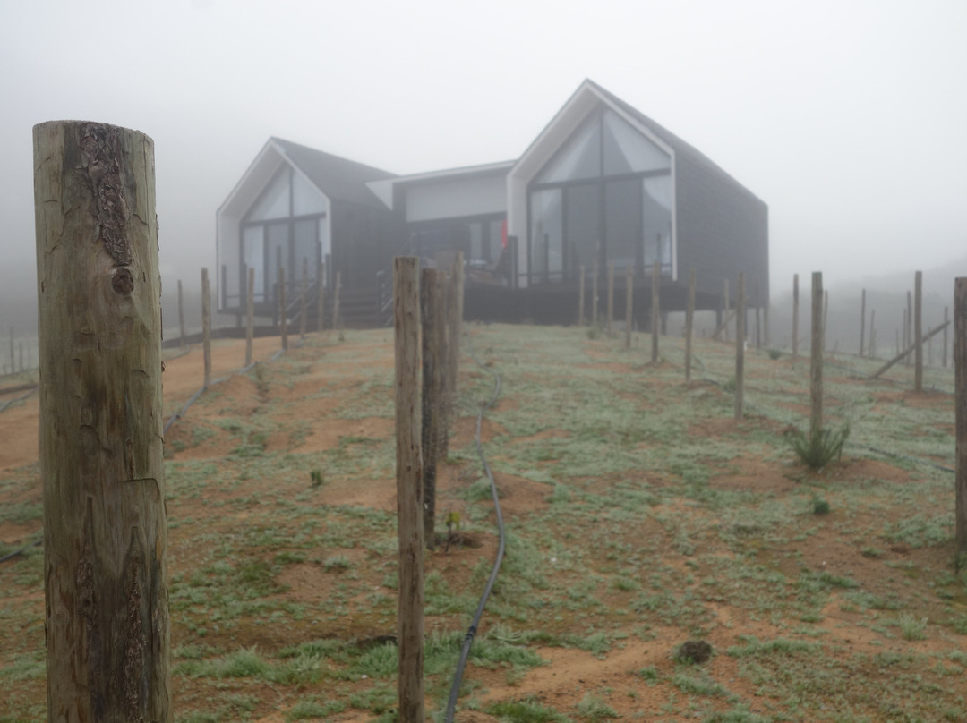 Oeno Wine Lodge主图