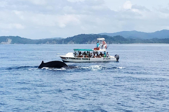 Francisco tours-Puerto Carrillo必去景点