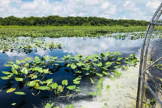 Green Boat Tour Company-阿卡迪亚必去景点