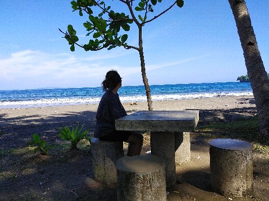 JavaCove Beach Hotel-官方