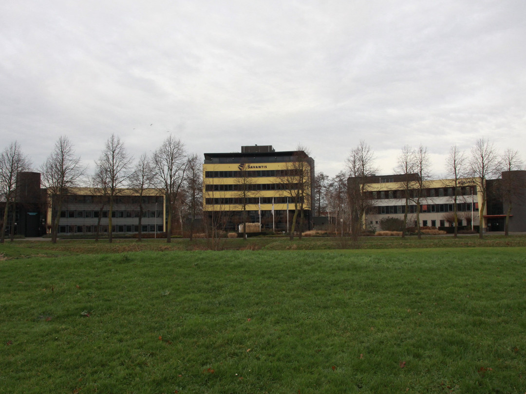 Waddinxveense Hefbrug-Waddinxveen必去景点