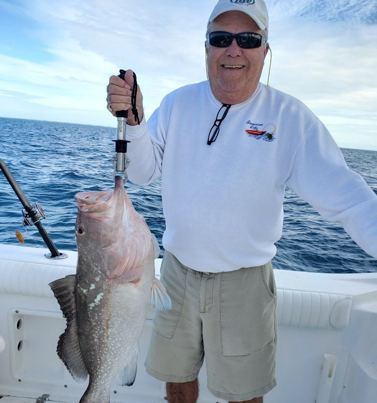 Fish Factor Deep Sea Fishing-Osprey必去景点