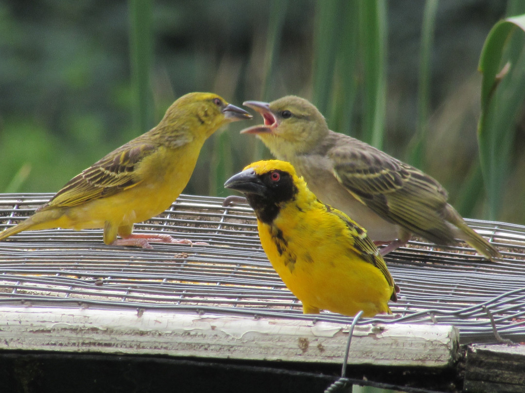 Cleopatra Mountain Farmhouse主图