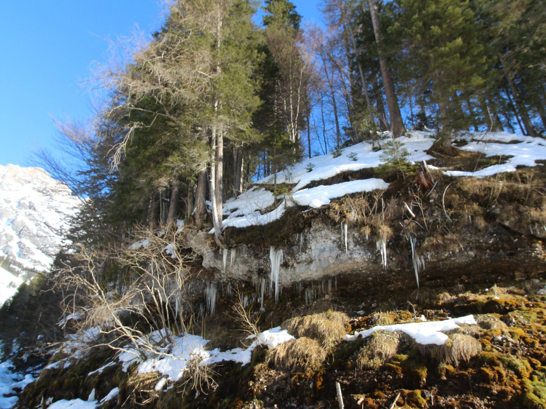 Die Triefen von Hinterthal-Hinterthal必去景点
