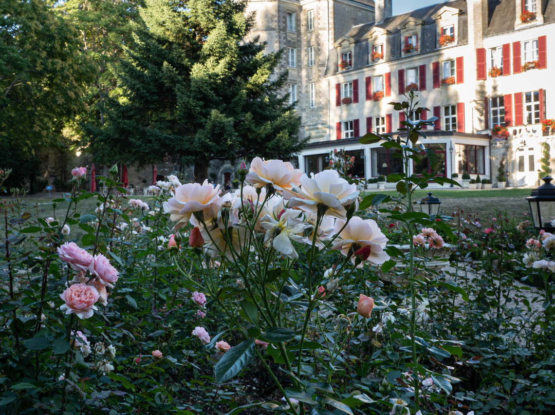 Château Laroche-Ploquin主图