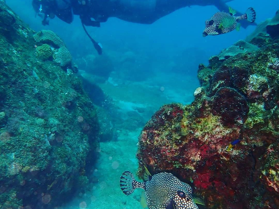 Reto Muller-位于塔甘加必去景点