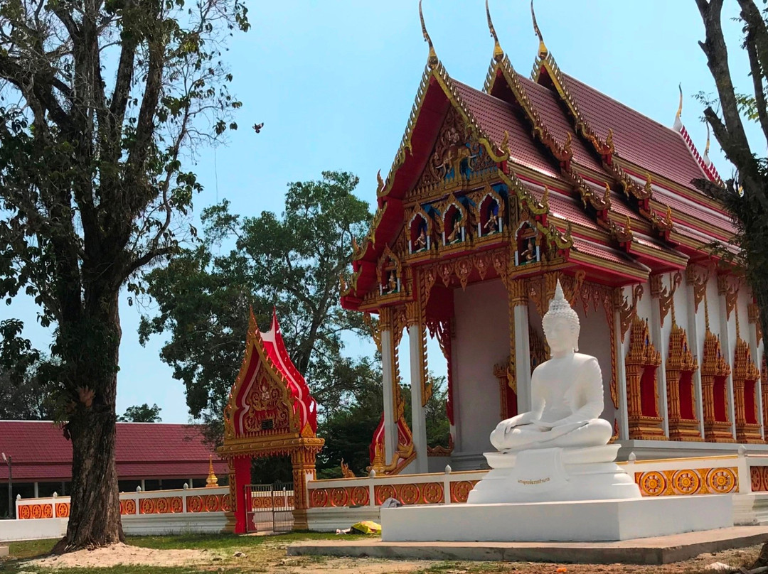 Wat Khlong Thom Museum景点图片