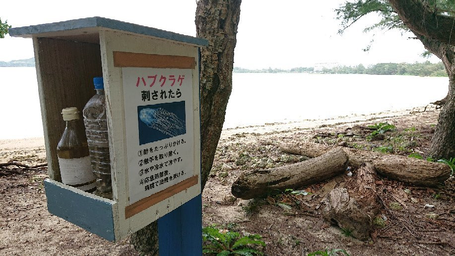 Sukuji Beach景点图片