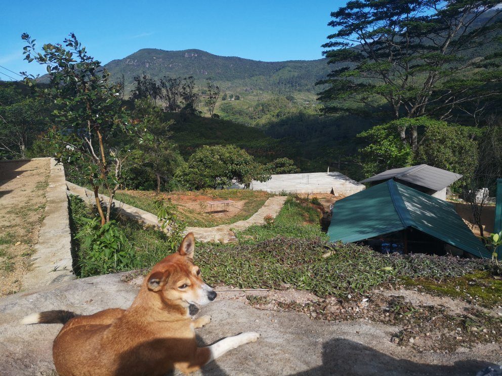 Sri Lanka Trekking景点图片