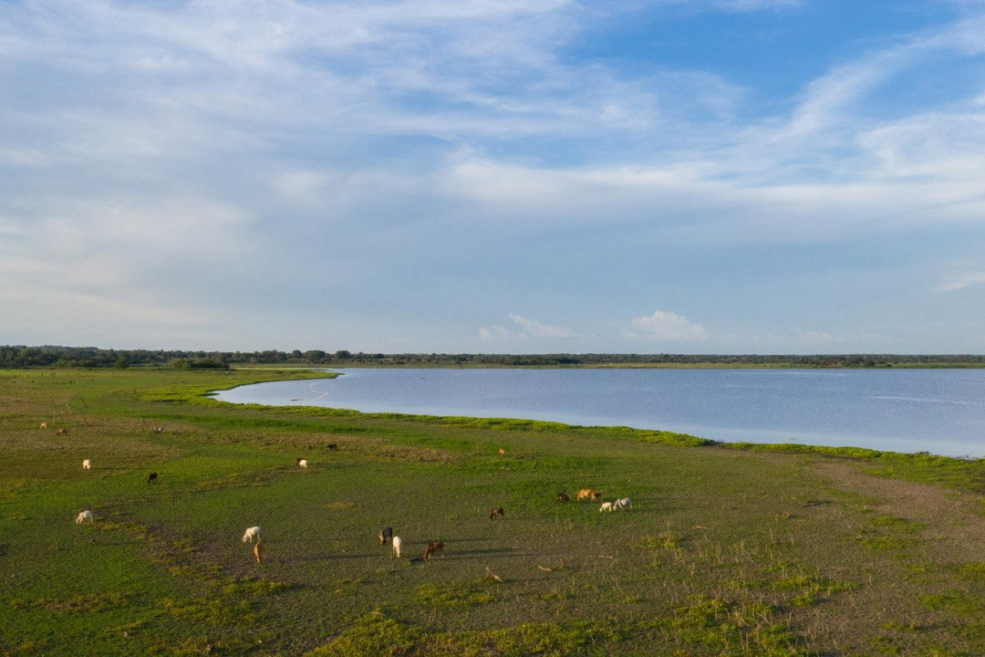 Hotel Sara Inn主图