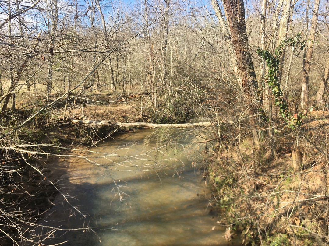 Windermere Park-卡明必去景点